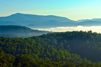early morning nature on blue ridge parkway