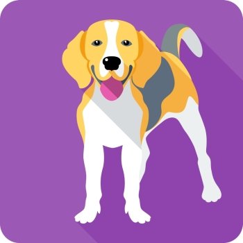 dog Beagle icon flat design 