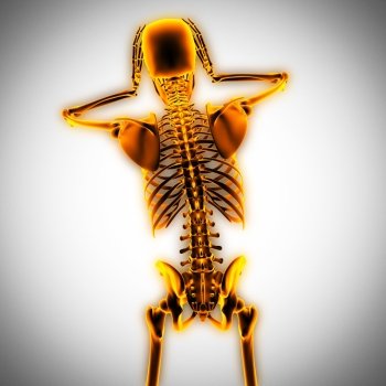 human radiography scan  with glowing bones