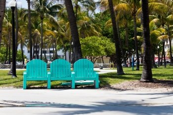 Park bench among the palm trees in Miami, Florida