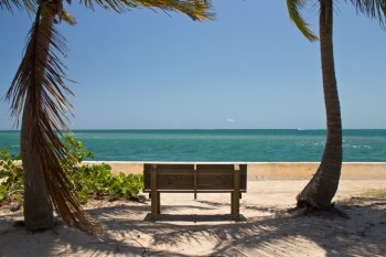 Bench among the palm trees facing the ocean
