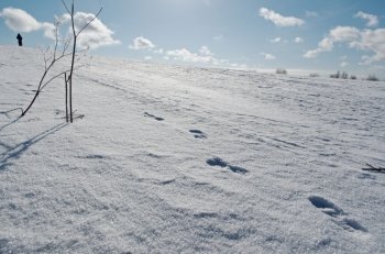 Winter scene .snowy hill with footprints