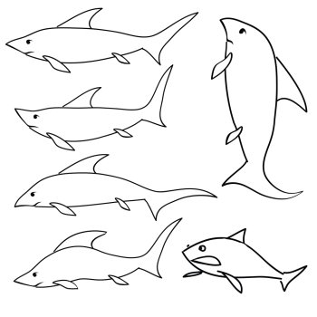 illustration  with shark set on white background