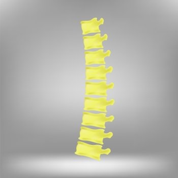 Spine Icon On Grey Background. Human Backbone Symbol.. Spine Icon