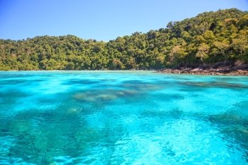 Snorkeling point with beautiful coralscape at Surin national park Phuket Thailand