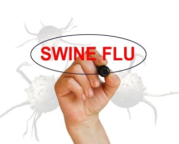 writing word SWINE FLU with marker onwhite background made in 2d software
