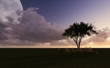Moon night with tree made in 3d software