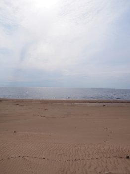 sandy shore of the lake