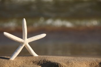Starfish in the beach sand at ocean background. Summer vacation symbol