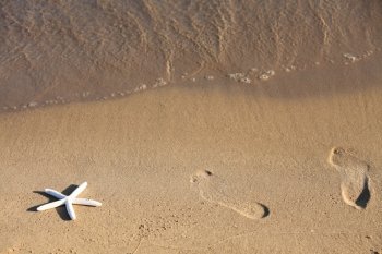 Foot and starfish prints on a sandy beach