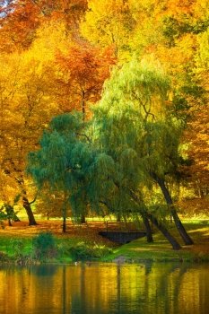 Natural landscape. View from shore of the lake or river water and beauty autumn orange trees on the other side.