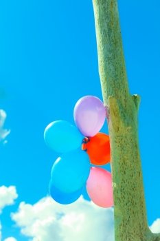 Concept of love in summer, freedom and wedding honeymoon. Colorful balloon chain in the sky outdoor