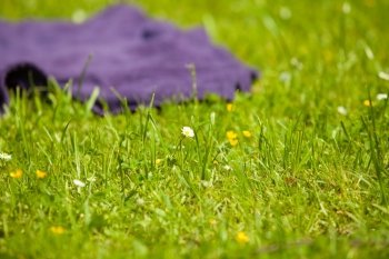 Picnic. Closeup of empty violet blanket on the green grass of the meadow or park. Outdoor.